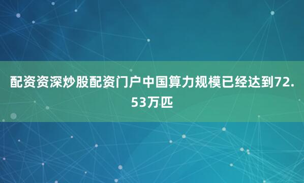 配资资深炒股配资门户中国算力规模已经达到72.53万匹