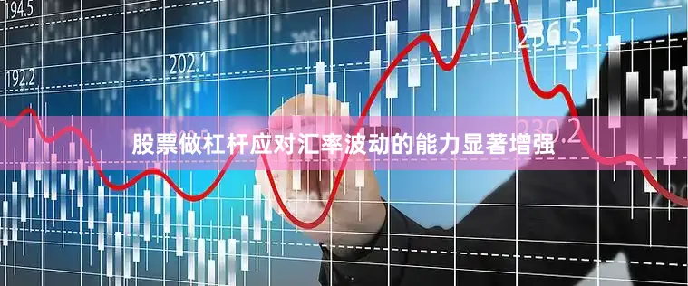 股票做杠杆应对汇率波动的能力显著增强