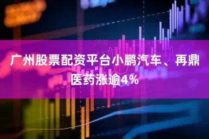 广州股票配资平台小鹏汽车、再鼎医药涨逾4%