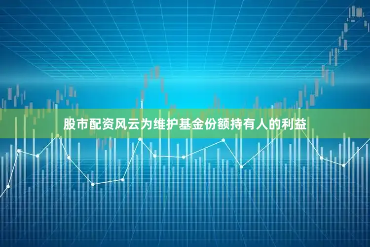 股市配资风云为维护基金份额持有人的利益