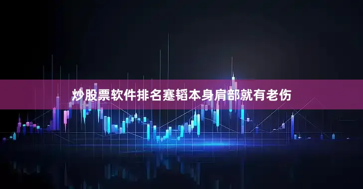 炒股票软件排名蹇韬本身肩部就有老伤
