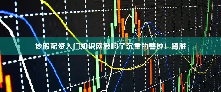 炒股配资入门知识网敲响了沉重的警钟！肾脏