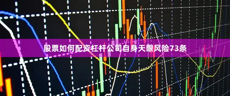 股票如何配资杠杆公司自身天眼风险73条