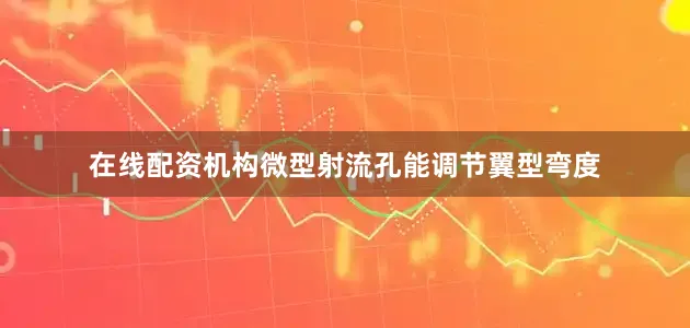 在线配资机构微型射流孔能调节翼型弯度